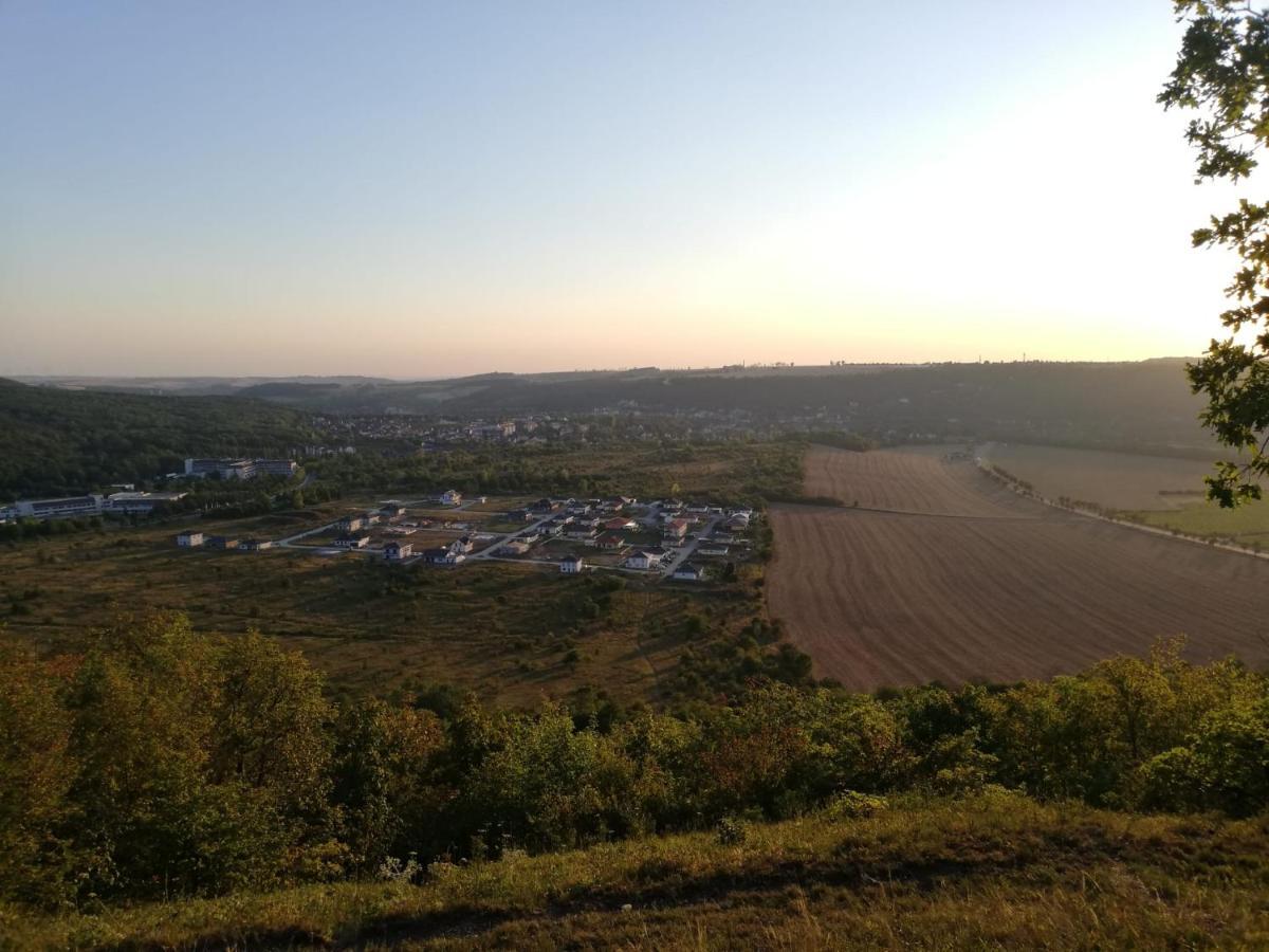 Weinquartier Bad Koesen Апартаменты *